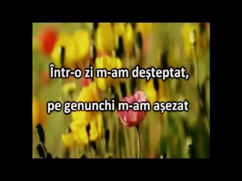 Viata mea e-n mana ta - Elim Harmony (lyrics)