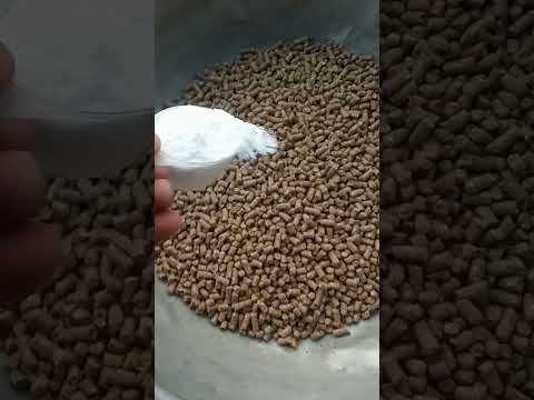 cattle feed formula DAY 1 goldy dairy farm #dairyfarming #cattlefarm #cattlefeed #motivation