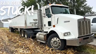 Semi Truck Recovery – Stuck in the Mud! - First Rain Delay of Harvest - NEW Tractor BAD?