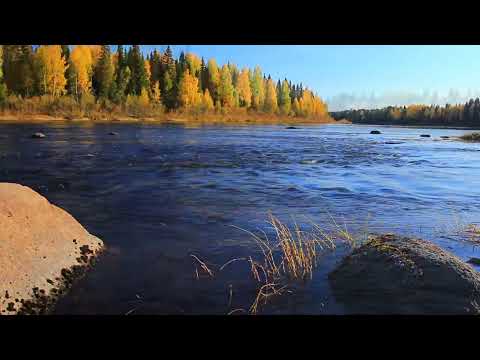 Александр Лесников. Осеннее очарование.  Alexander Lesnikov. Autumn charm.