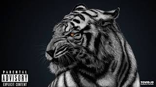 Mic Diggy - Problem (ft Choppsy)