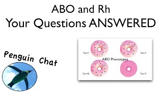 Blood Typing Questions PRACTICE | Bio Basics 🐧