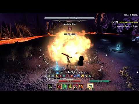 vet dungeon level dps with 2h bow or any combo of 2h and something