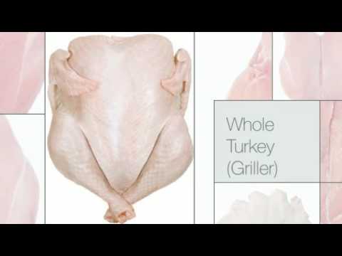 Halal frozen chicken wholesale