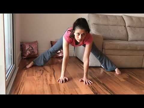 Dia 8 - Flexibilidade (Desafio dos 30 dias com exercício de Ginástica Artística)