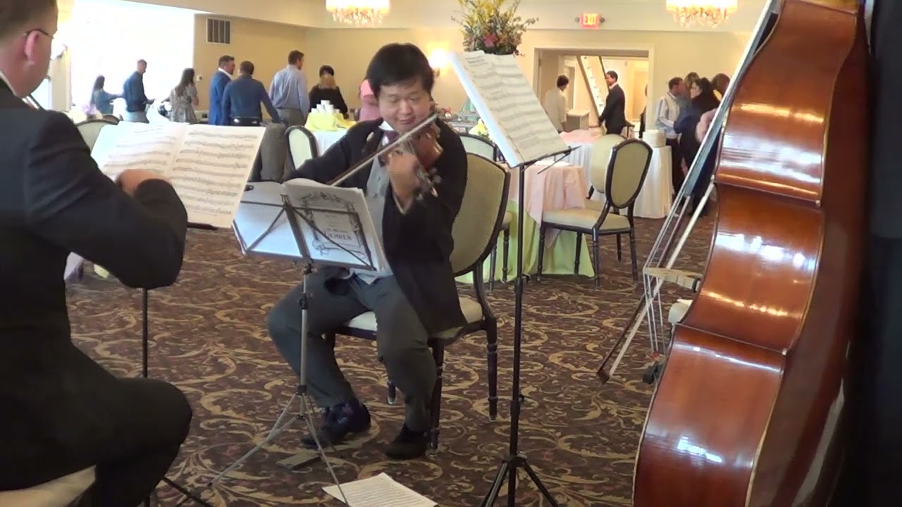 Promotional video thumbnail 29 for Xinou Wei Strings