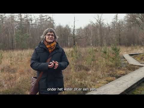 Maldegemveld - Vrijwilliger in beeld: Annick