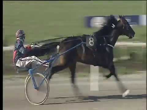 Trotto 02/04/2018 - 7ª corsa