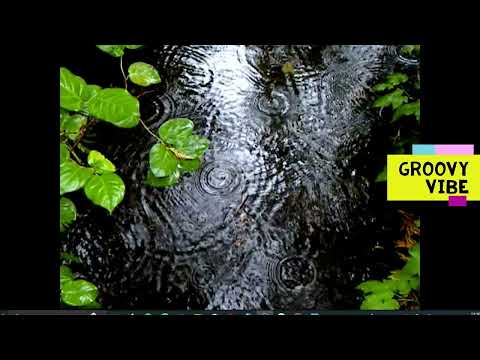 mish mash tv - Groovy Vibe Radio - Ukee Radio - Now OPEN