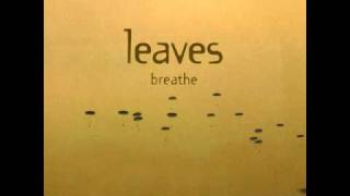 Leaves - Sunday Lover
