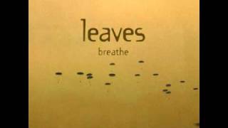 Leaves - Sunday Lover