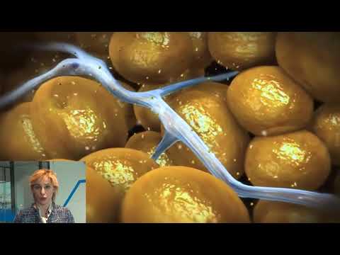 Osteocondrosi lombosacrale che pericoloso Le articolazioni delle dita vitamine