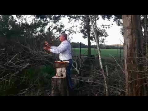 Morning Devotion by Bro Nicky Scharneck - 20210628 - The Relationship Vine Branches Series (Part 1)