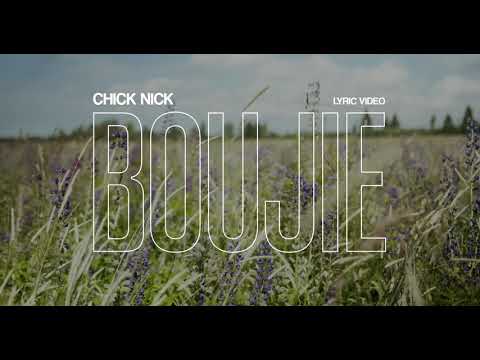 Chick Nick - Boujie (Visualizer)
