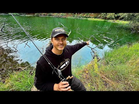 What still lives in this forgotten forest lake?