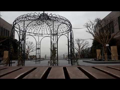 [cloudy] 2018  12  01