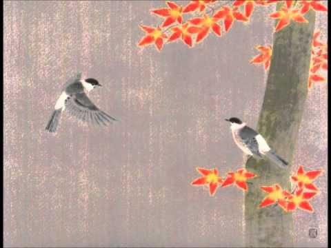 Olivier Messiaen - Catalogue d'Oiseaux, XIII