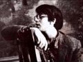 Van Dyke Parks - The All Golden