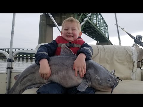How to Catch Big Catfish on a Big River - NEW PB Blue Catfish!
