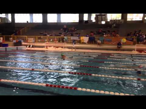 Mistaffetta 4x50 MX ( ALBA ORIENS CORSIA 5)