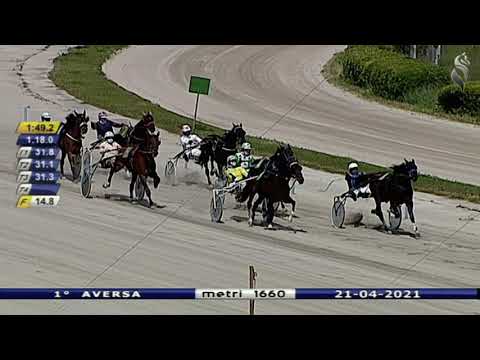 Aversa trotto 21 Aprile 2021 - 1° Corsa