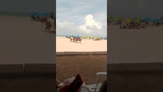 Cavalaria em Ponta Negra - Natal/RN