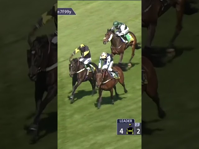 Thumbnail for Post ID: pPgtuV1FtPY