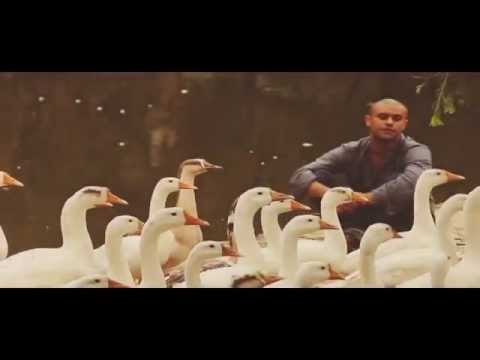 ASHISH KAUSSHIK Tere bin re...