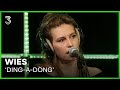 WIES covert 'Ding-A-Dong' van Teach-In | 3FM Live Box | NPO 3FM