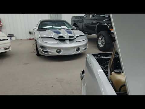 1980 Chevrolet Malibu (CC-1865617) for sale in Nashville, Illinois