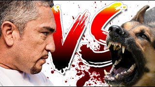 Cesar Millan Gets Bitten by Aggressive Dogs