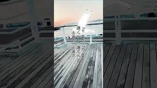 gum - Amala  #雨良