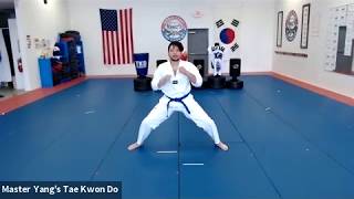 Live CLass - White Belt - 5.11.20 @ 4:30pm