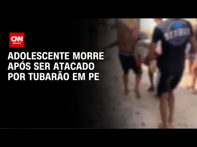 Menino de 13 anos morre após ser atacado por tubarão em praia de Olinda | CNN NOVO DIA