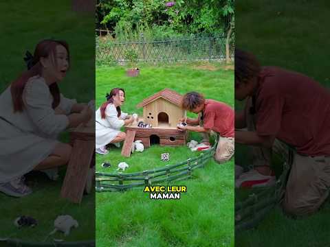 😱 Les 12 bébés d’une mère lapin  nous les avons tous sauvés ❤️✨!! #shorts