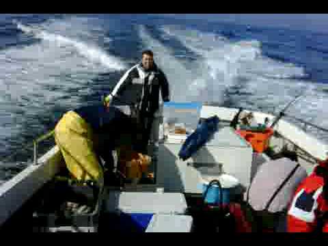 wrakvissen zeearend dinsdag 16 maart