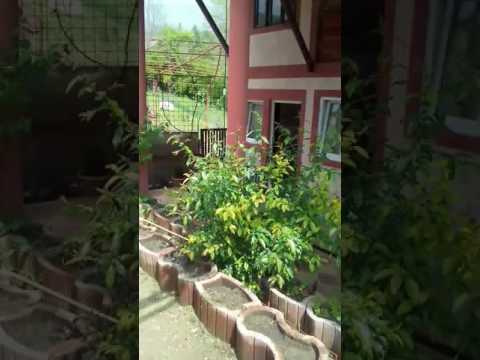 Cazare in Ocnele Mari !(8)