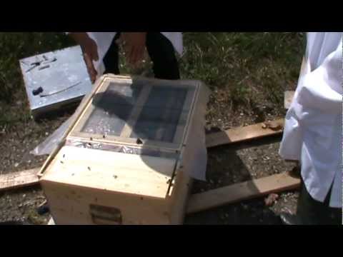 1. Apicultura incepatori - Despre pregatirea iernatului 3 in 1 si despachetarea din primavara 1/2