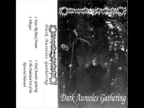 Darkwoods My Betrothed - Dark Aureoles Gathering (full demo 1994/black metal/Finland)