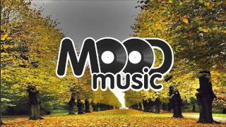 Mirror Signal - Broken Soldier