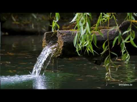 Gabriel Kzam ft. Igor Felix - Foi por você (Anjos de Resgate) cover