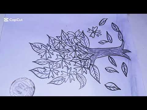 Shiuli Flower Drawing Pencil Sketch