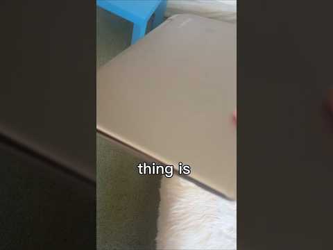 This 13 year old Toshiba laptop can still run Roblox...