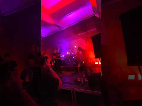 Blaufuchs - Schöner Tag - Live