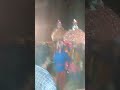 Halakki Suggi Kunita 3