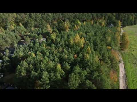 Chrząstawa Wielka - zalesiona działka budowlana