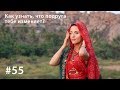 Как узнать, что подруга тебе изменяет? // Всё как у зверей #55 Как узнать, что подруга тебе изменяет? // Всё как у зверей #55
