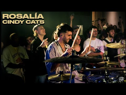 CINDY CATS - ROSALÍA | .AR #1