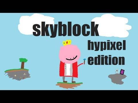 the hypixel skyblock experience