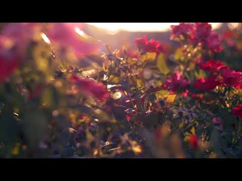 Monday Mix- DJ Harrison - 1996